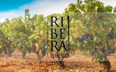 DO Ribera del Duero: territorio, excelencia enológica con relevancia global