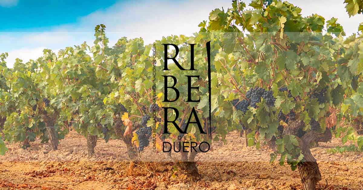 DO Ribera del Duero: territorio, excelencia enológica con relevancia global