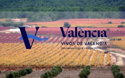 DO Valencia, variedad de estilos y tipos de vino
