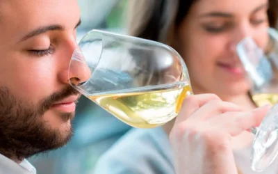 Fase gustativa de la cata de vinos: explorando el sabor y la textura