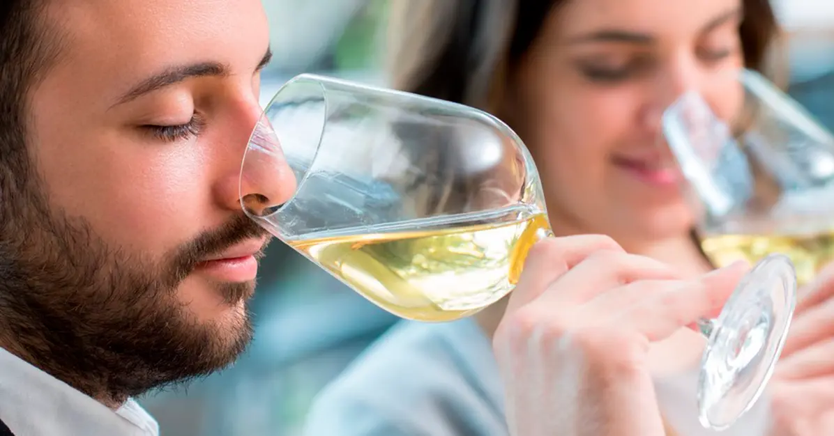 Fase gustativa de la cata de vinos