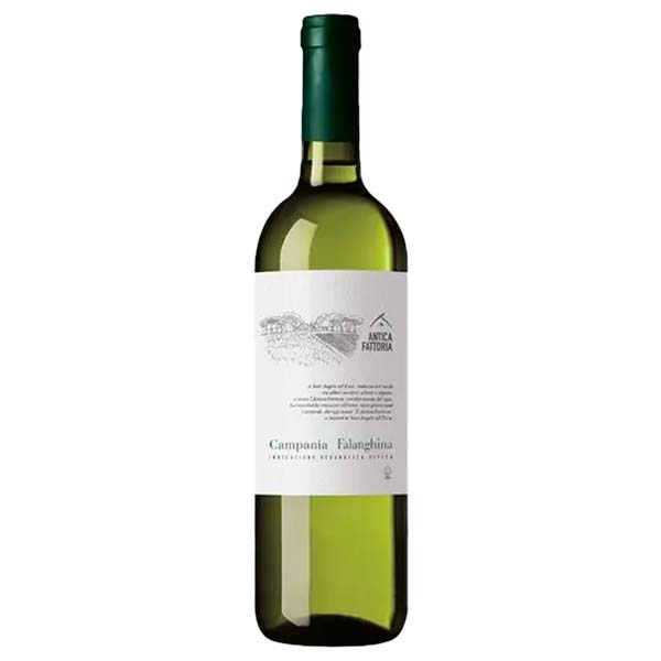 Falanghina Igt Campania