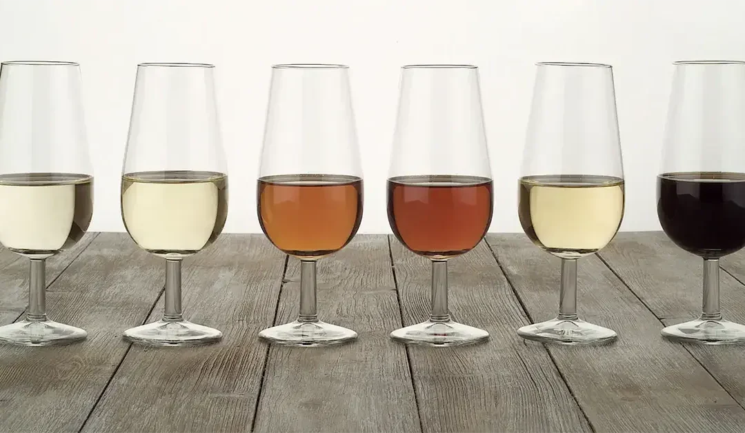 Características de un vino, conocerlas a través de una cata de vino