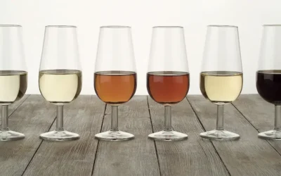 Características de un vino, conocerlas a través de una cata de vino