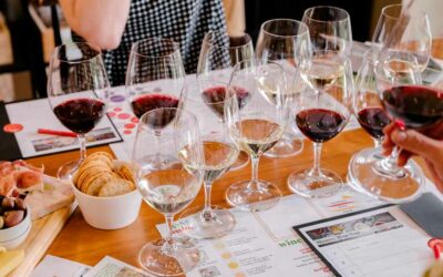 Cata de vinos: Cómo hacerla, una guía para principiantes