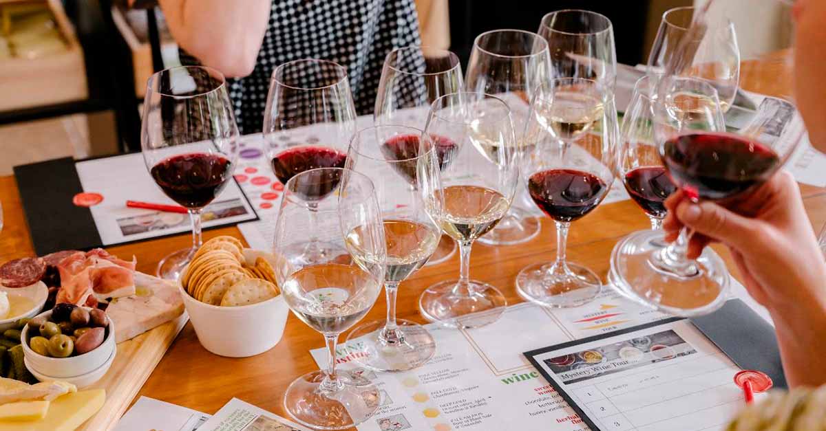 Cata de vinos: Cómo hacerla, una guía para principiantes