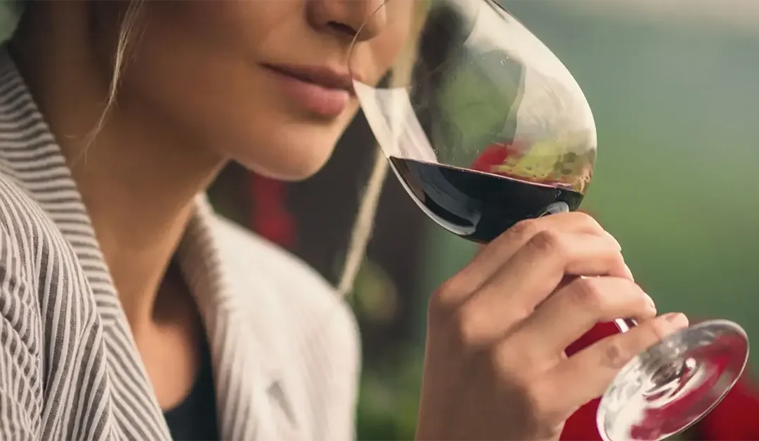Fase olfativa de la cata de vinos: descifrando los aromas del vino