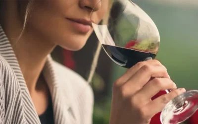 Fase olfativa de la cata de vinos: descifrando los aromas del vino